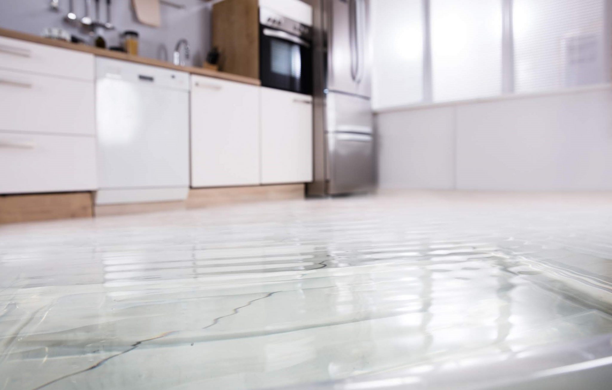 14. Sanering & Åtgärda Fuktskador